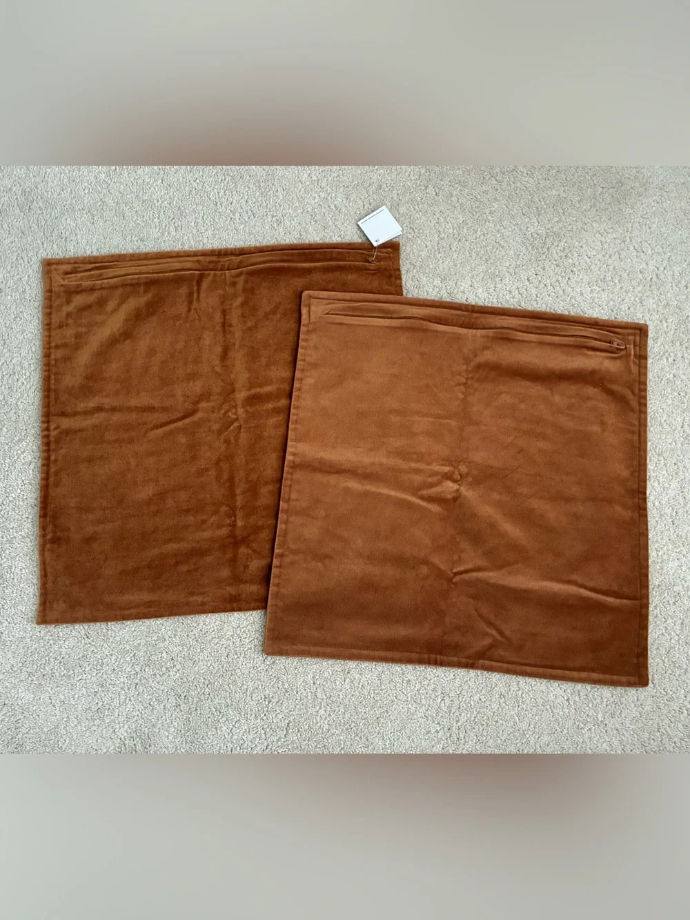 Set 2 Crate&Barrel Velvet Throw Pillows